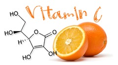 C-vitamin kutatása a VBK-n